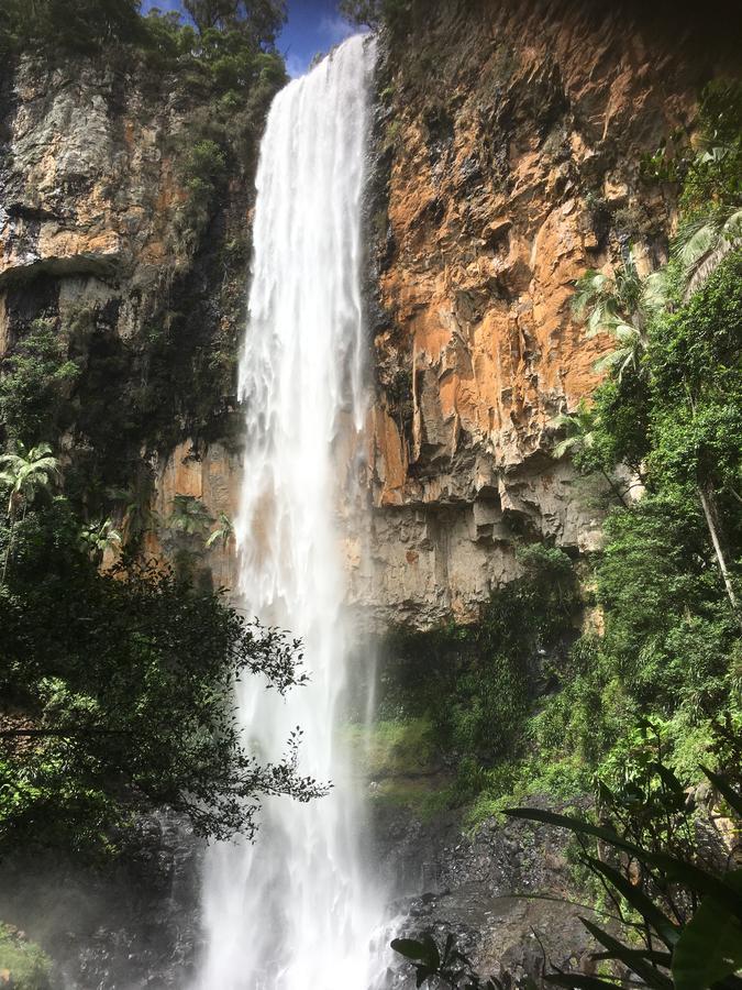 Готель Purling Brook Falls Gwongorella Спрінґбрук Екстер'єр фото